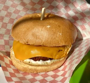   at Plant Bun in Turin