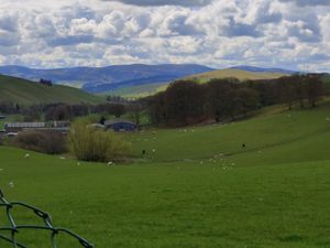  at Barony Castle Hotel in Peebles