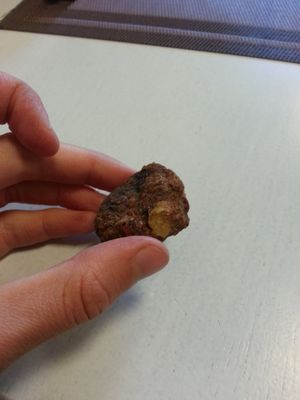 sweet at Vegan Rawhouse in Vilnius