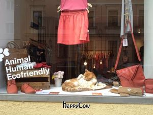 DearGoods Baldestrasse 13 with Cat 'Fritz' in the window at DearGoods I in Munich