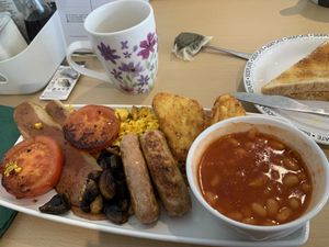   at Animals in Need Sanctuary Vegan Cafe in Wellingborough