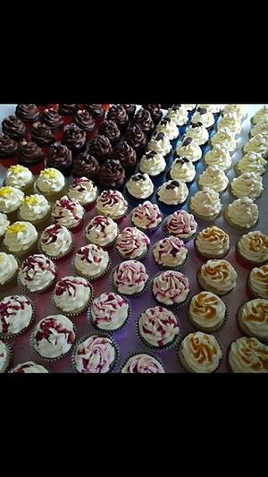 Fabulous vegan cakery cakes  at Animals in Need Sanctuary Vegan Cafe in Wellingborough