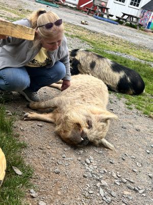   at Arthur's Acres Animal Sanctuary in Parksville