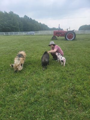  at Arthur's Acres Animal Sanctuary in Parksville