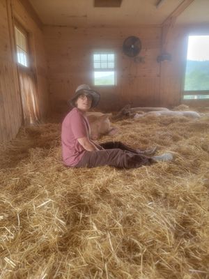  at Arthur's Acres Animal Sanctuary in Parksville