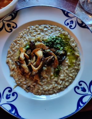 Mushroom risotto at Ravintola Elm  in Helsinki