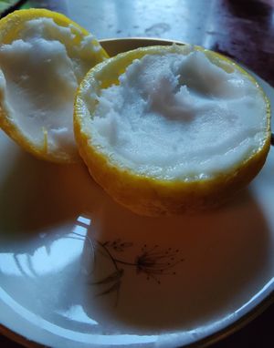 Home made lemon sorbet at Ravintola Elm  in Helsinki