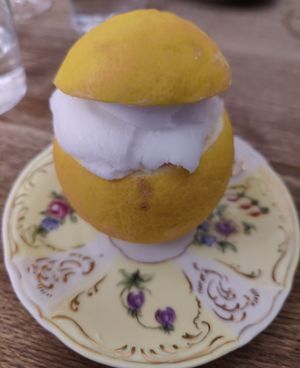 Home made lemon sorbet at Ravintola Elm  in Helsinki