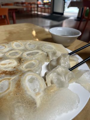 Pan seared cabbage and carrot dumplings  at Joyve Cafe in Auckland