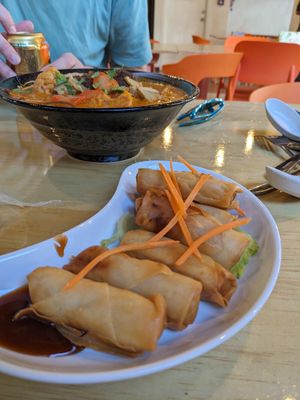 Spring rolls at Joyve Cafe in Auckland