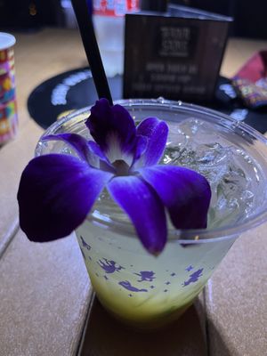 Skipper Sipper  at Walt Disney World - Trader Sam's Grog Grotto in Lake Buena Vista