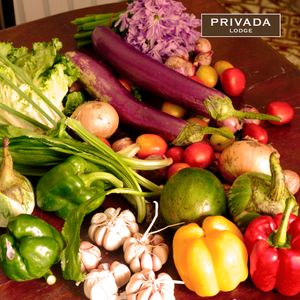  at Privada Lodge in Krong Kracheh