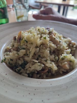 Mushroom risotto at Good Food in Podgorica