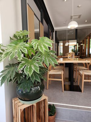 Inside at Isst Balance  in Titisee-neustadt