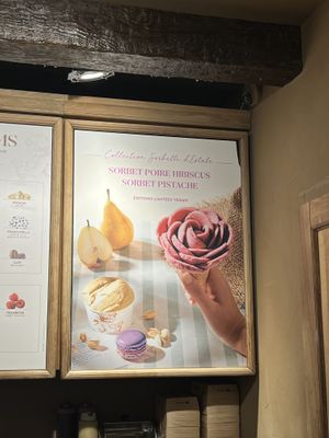 Limited edition vegan sorbets  at Amorino in Aix-en Provence