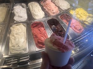 Veel Vegan opties ijs😃 at IJssalon Garrone Gelateria in Haarlem