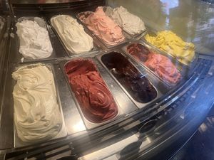 Erg lekker zelfgemaakt Vegan ijs   at IJssalon Garrone Gelateria in Haarlem