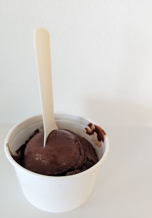 chocolate at IJssalon Garrone Gelateria in Haarlem