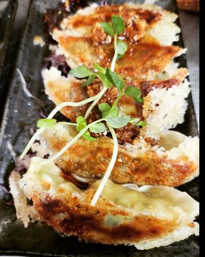 Japanese Gyoza Vegan at Taste of Asia Wollongong  in Wollongong