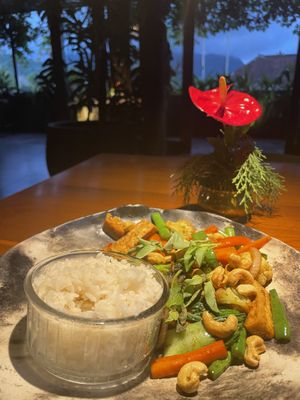 Cashew tofu entree   at Asri Dining by Samanvaya in Sidemen
