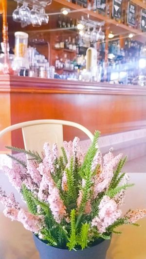  at Cafe Casi Casi in Malaga