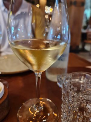 White vine at Bela Reka in Belgrade