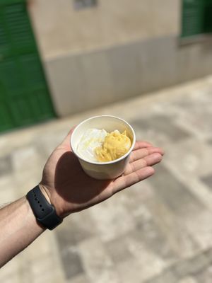   at Helados Ecologicos in Mallorca