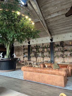   at DOR Restaurant D.O.R. in Brasov