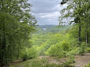   at Potęgówka wege Kaszuby in Linia