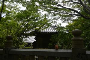  at Rokaku Tea House - Hexagon Cafe  in Miyajima