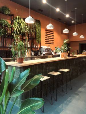  at Morgentau. in Barcelona