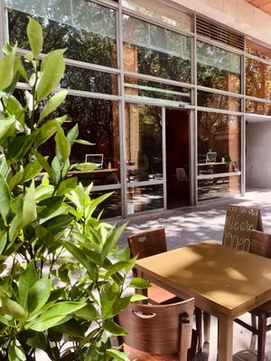  at Morgentau. in Barcelona