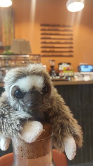  at Morgentau. in Barcelona