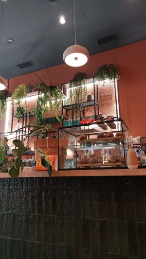  at Morgentau. in Barcelona