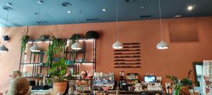  at Morgentau. in Barcelona