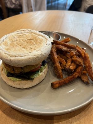   at Morgentau. in Barcelona