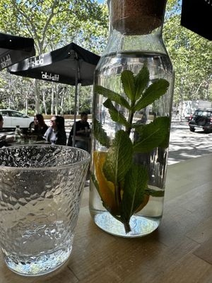 Filtered cold water with citrus and mint  at Morgentau. in Barcelona