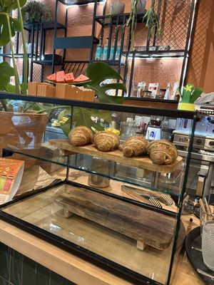   at Morgentau. in Barcelona