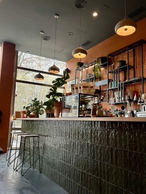   at Morgentau. in Barcelona