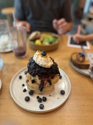   at Morgentau. in Barcelona