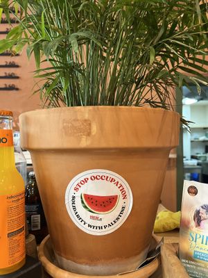   at Morgentau. in Barcelona