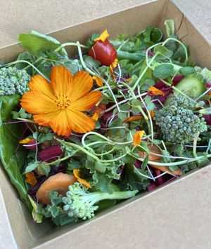 Farmer’s Market Salad  at Garden Party in Rockledge