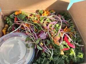 Ceasar salad  at Garden Party in Rockledge