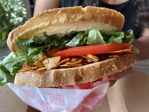 CBLT  at Garden Party in Rockledge