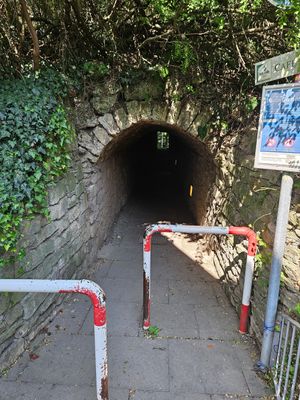  at Café Botanik in Gottingen
