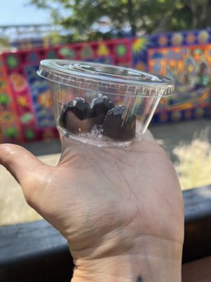   at Livbud Cafe in Seattle