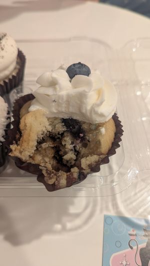 Yummy lemon blueberry at Cool Cat Cupcakes in Fredericksburg