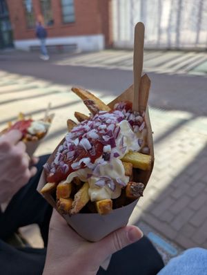 Vegane Pommes Special at Frietkamer in Haarlem