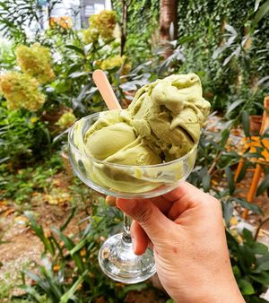 Malcha at 01 Ice Cream Bar - Maybe closed in Busan