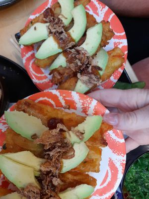Avocado tempura at Koji Sushi Japanese Restaurant in Warwick